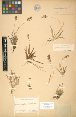 LE 01001435