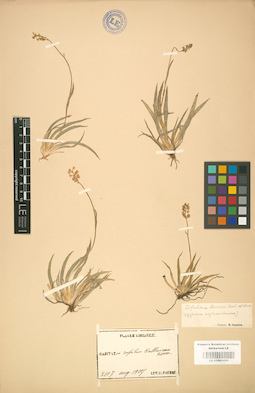 LE 01001436