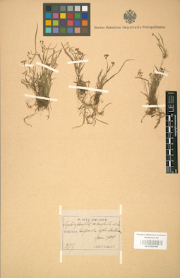 LE 01001440