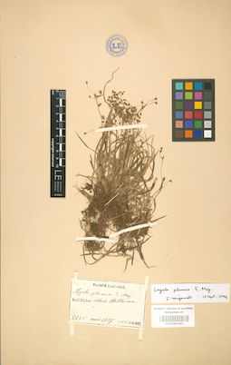 LE 01001443