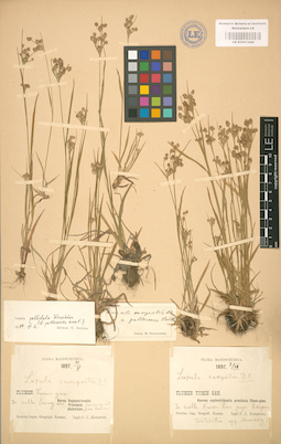 LE 01001444