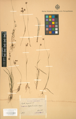 LE 01001447