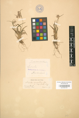 LE 01001451