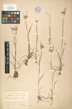 LE 01001453