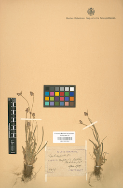 LE 01001454