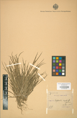 LE 01001455