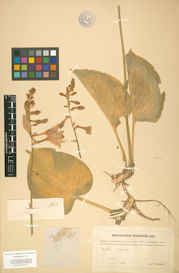 LE 01001457