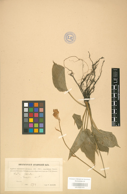 LE 01001458