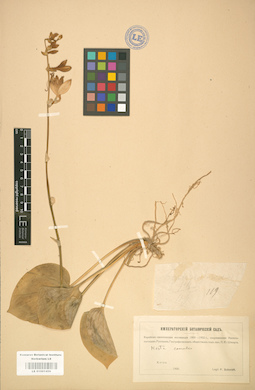LE 01001459