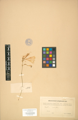 LE 01001460