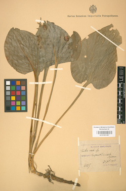 LE 01001461