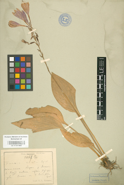 LE 01001462