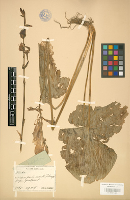 LE 01001463