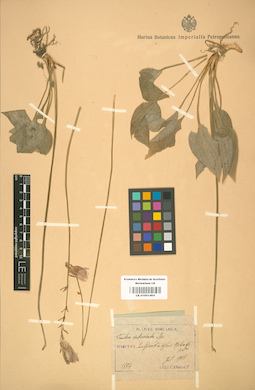 LE 01001464