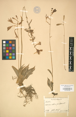 LE 01001465