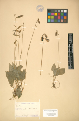 LE 01001466