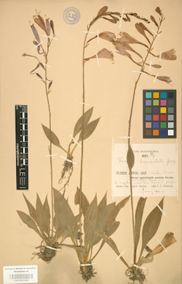 LE 01001468
