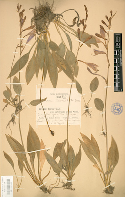 LE 01001469