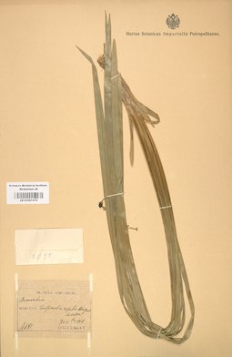 LE 01001470
