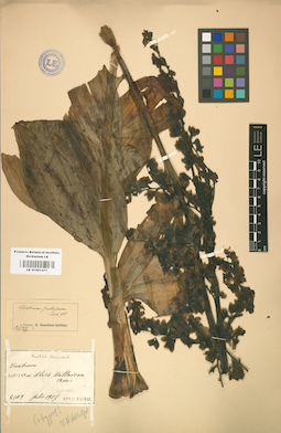 LE 01001471