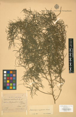 LE 01001473