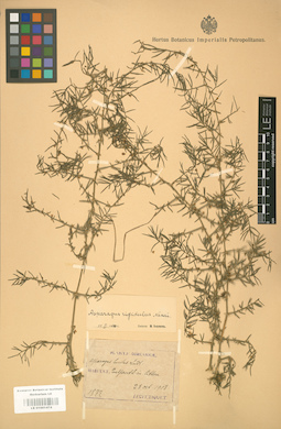 LE 01001474