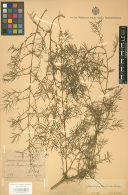 LE 01001475