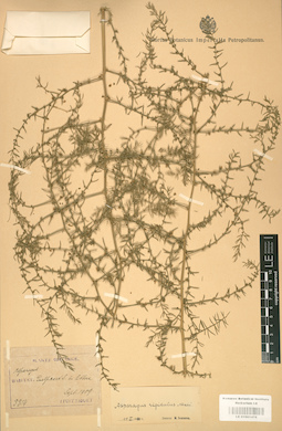 LE 01001476