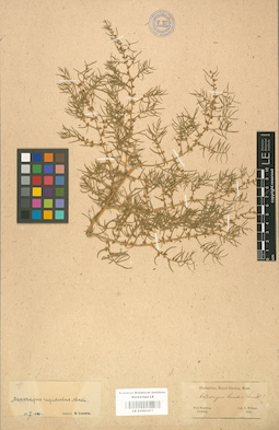 LE 01001477