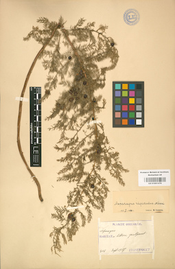 LE 01001478