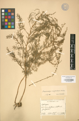 LE 01001479