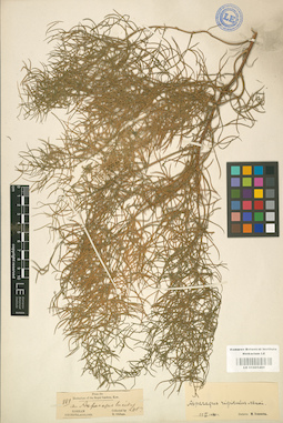 LE 01001480