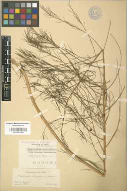 LE 01001488
