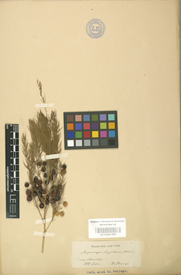LE 01001489