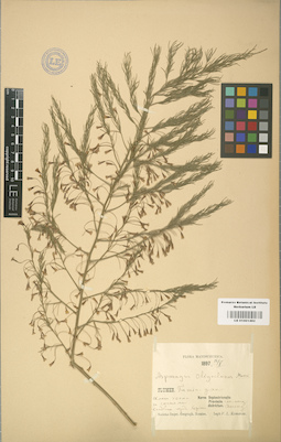 LE 01001492