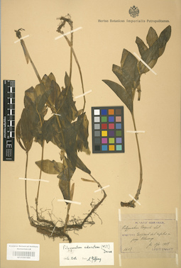 LE 01001496