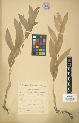 LE 01001497