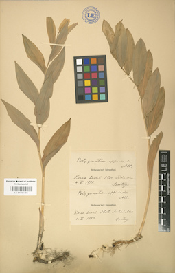 LE 01001498