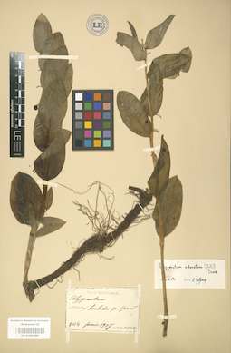 LE 01001499