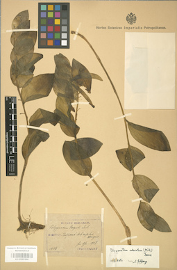 LE 01001500