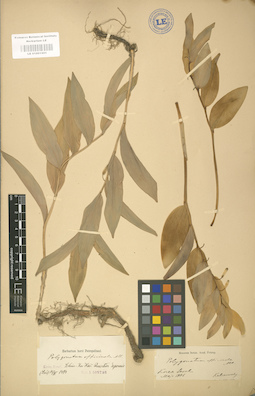 LE 01001501