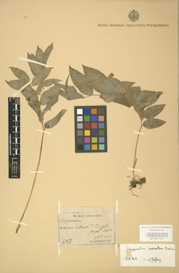 LE 01001502