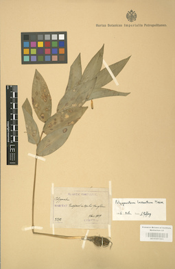 LE 01001503
