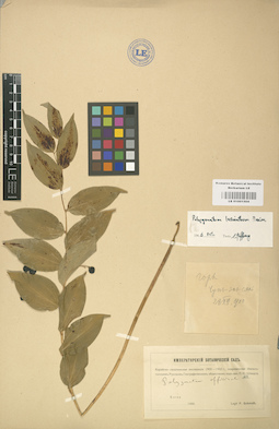 LE 01001504