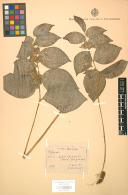 LE 01001505