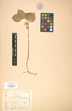 LE 01001506