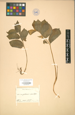 LE 01001507