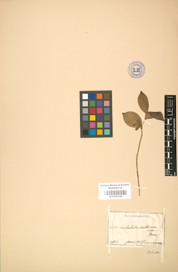 LE 01001508