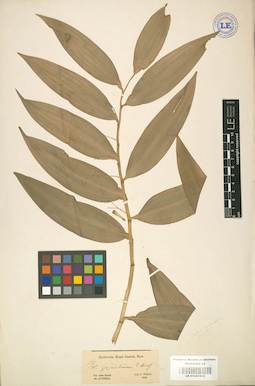 LE 01001510