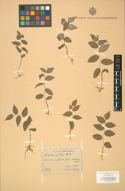 LE 01001518